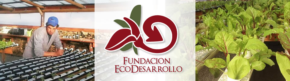 Fundación Eco Desarrollo